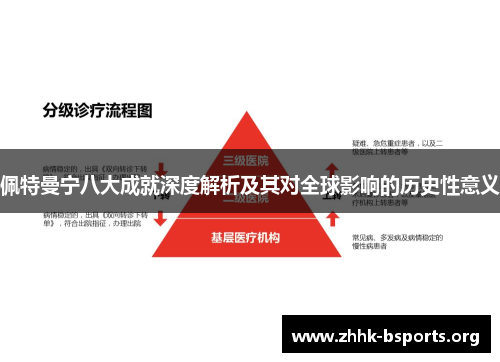 佩特曼宁八大成就深度解析及其对全球影响的历史性意义